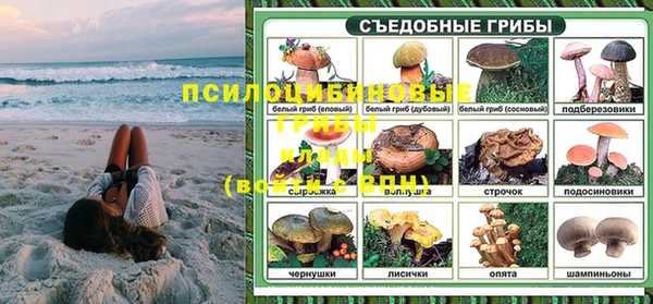 a pvp Костерёво