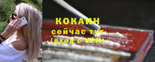 стафф Касимов