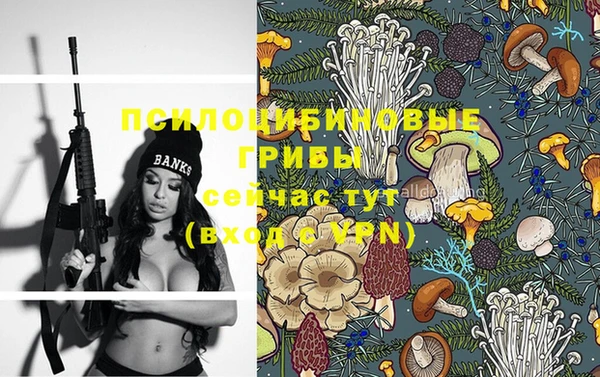 ГАЛЛЮЦИНОГЕННЫЕ ГРИБЫ Козловка