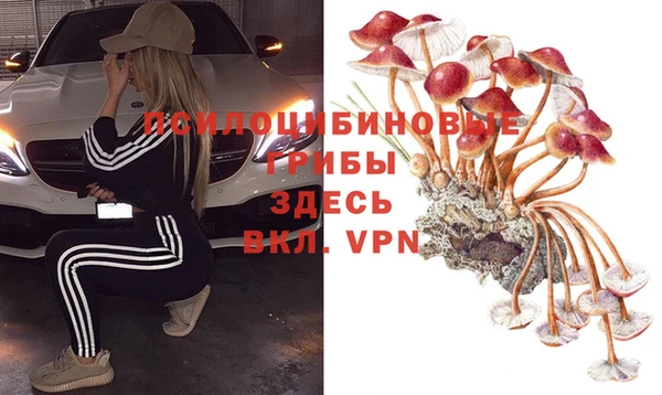 кокс Кодинск