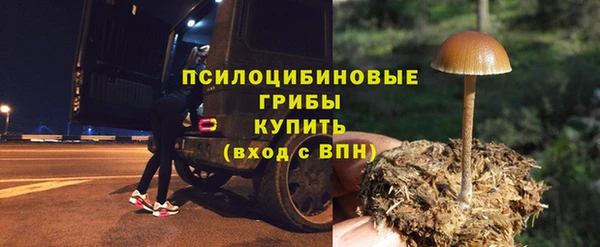 ГАЛЛЮЦИНОГЕННЫЕ ГРИБЫ Козловка