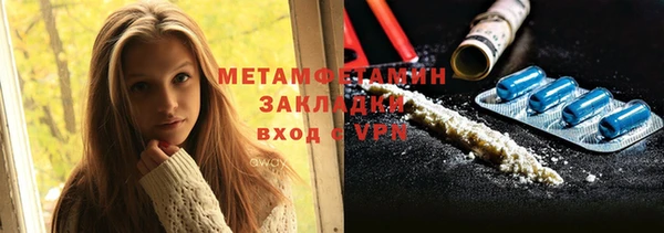 ГАЛЛЮЦИНОГЕННЫЕ ГРИБЫ Козловка