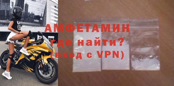 ГАЛЛЮЦИНОГЕННЫЕ ГРИБЫ Козловка