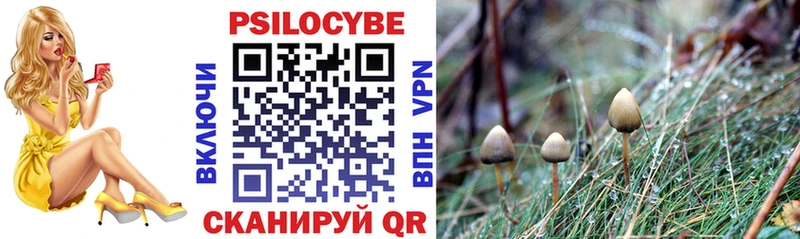 Псилоцибиновые грибы Psilocybe  Серов 