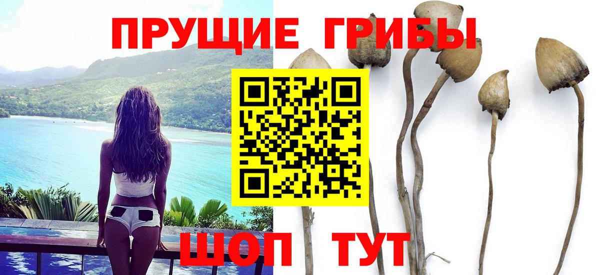 Галлюциногенные грибы мухоморы Серов